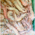 Frozen Sea Shrimp Sand Shrimp